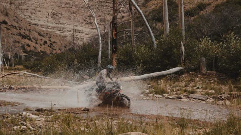 Royal Enfield продала огромное количество этих доступных внедорожных мотоциклов — и это совершенно неудивительно