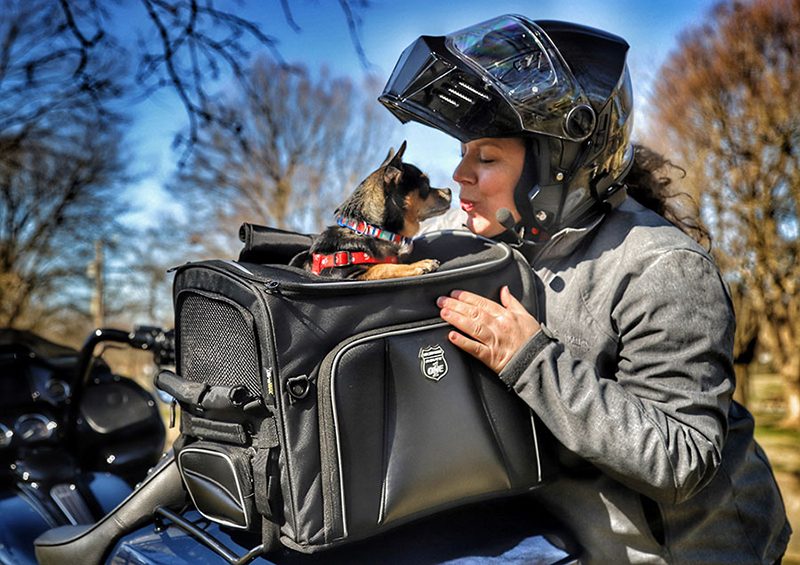 Переноска Nelson Rigg Route 1 Rover Pet Carrier (NR-240) стоит $259.95 и создана для райдеров, которые хотят брать в поездки