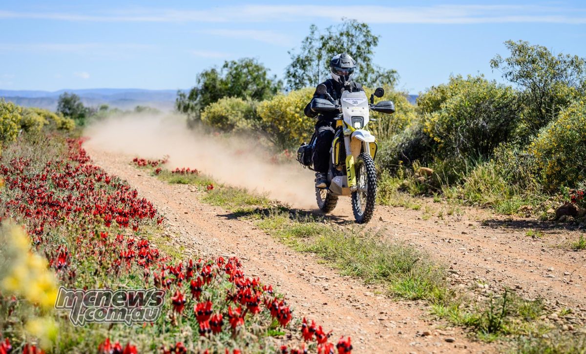 Красные полевые цветы обрамляют тропу, пока райдер на 701 Enduro движется через хребты
