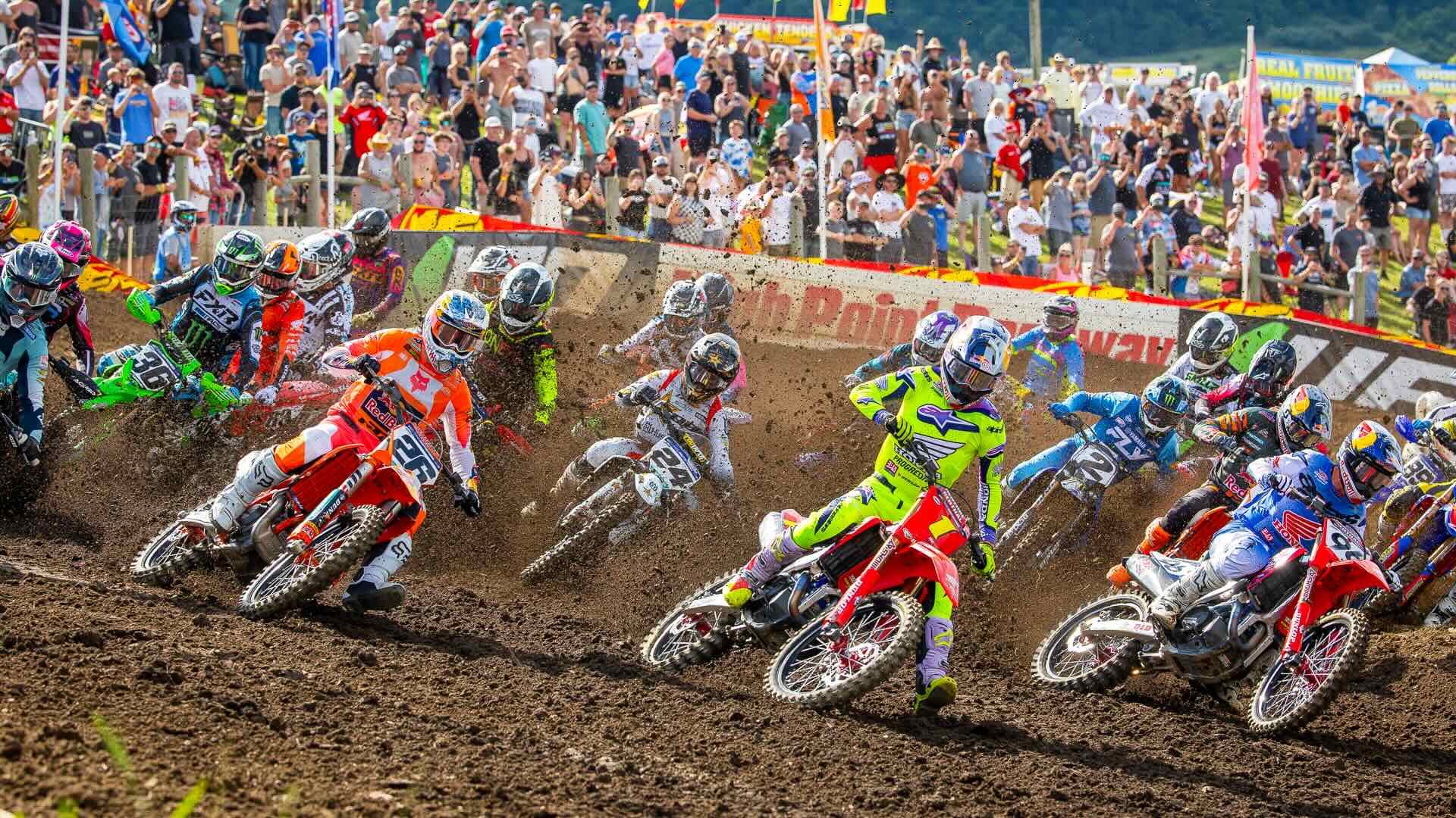 Главные ставки RedBud