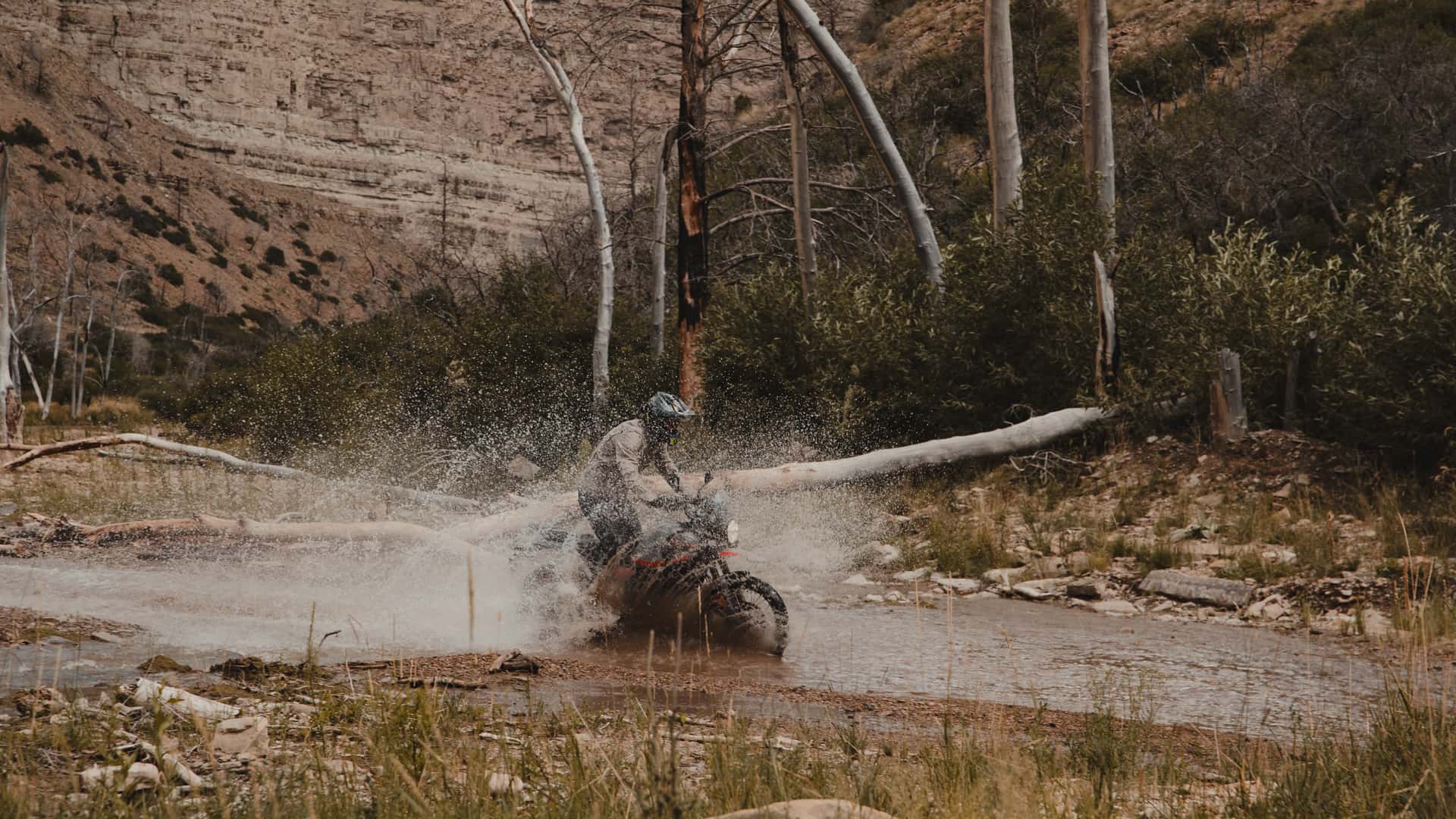 Royal Enfield продала огромное количество этих доступных внедорожных мотоциклов — и это совершенно неудивительно
