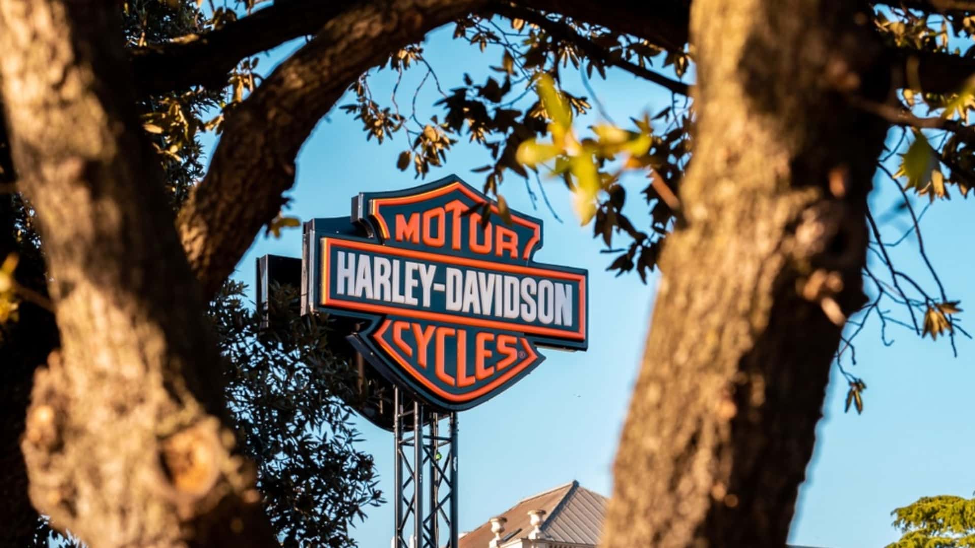 S&P признало акции Harley-Davidson мусорными. Это показывает, что инвесторов интересует лишь собственная выгода